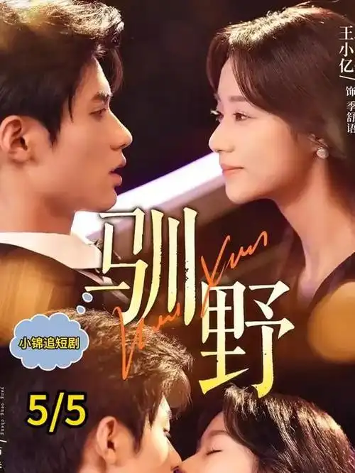 海上的厨房 治愈美食剧全集在线观看